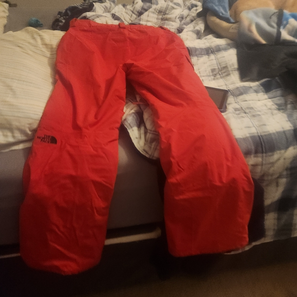 North face freedom snow pants women's